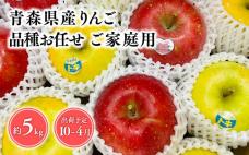 品種お任せ　【訳あり】家庭用　旬のりんご詰