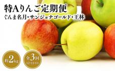 【定期便3回】特Aりんご定期便　ぐんま名月