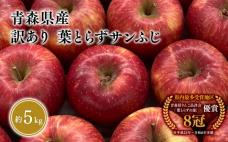 1～3月 訳あり 葉とらず サンふじ 家庭