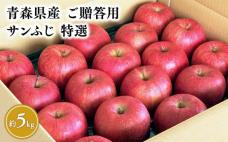 11月発送 【特選】サンふじ5㎏【りんご・