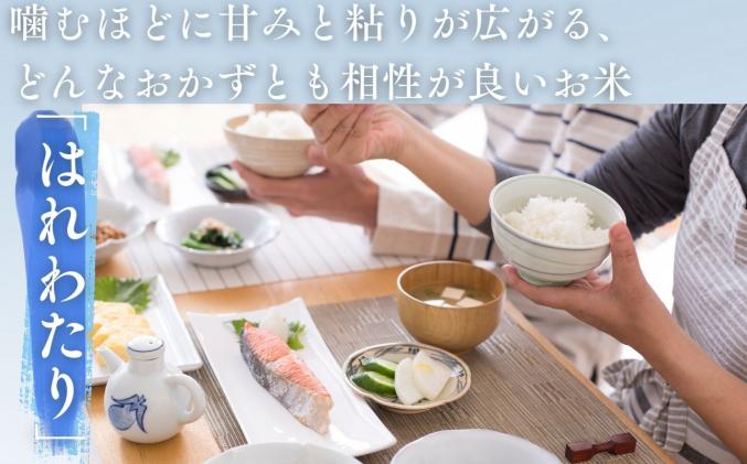 青森県深浦町のふるさと納税 【令和7年産】青森ブランド米 はれわたり5kg