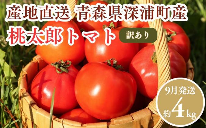 セゾン目玉品!![9月発送]訳あり 青森県産 桃太郎 トマト 約4kg
