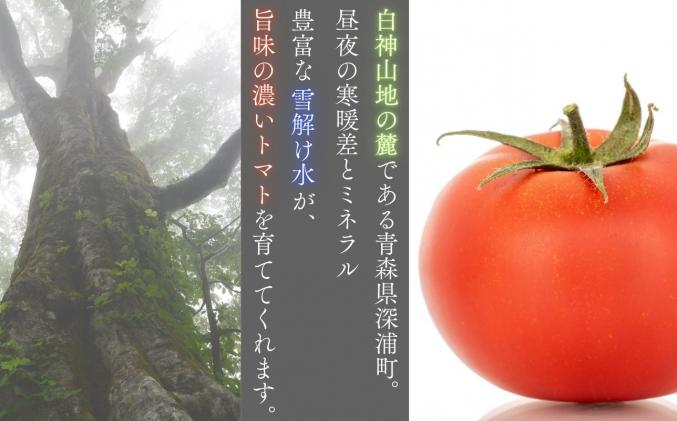 青森県深浦町のふるさと納税 【7月発送】青森県産 桃太郎 トマト 約4kg 20玉前後