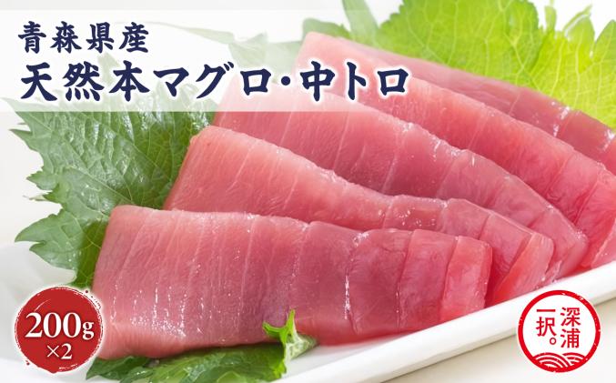 天然 本マグロ 中トロ 計400g