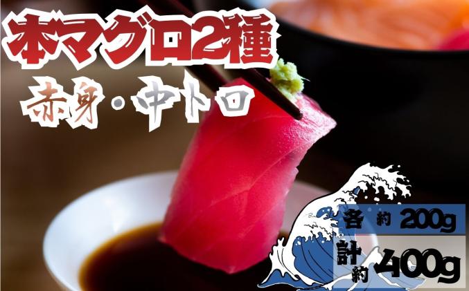 セゾン目玉品!![9月上旬から順次発送]本マグロ 赤身 中トロ 各1柵 セット