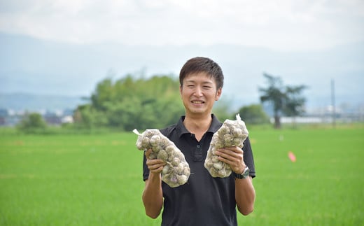 山形県新庄市のふるさと納税 《2025年発送》 最上伝承野菜【最上赤生にんにく】 500g(玉・M、L、2Lサイズ混合) 生にんにく ニンニク 薬味 ガーリック 野菜 F3S-2327