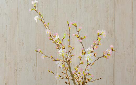 山形県新庄市のふるさと納税 【一足早い春を、雪国新庄から】山形県新庄市産 啓翁桜 切り花(10本程度) F3S-2690