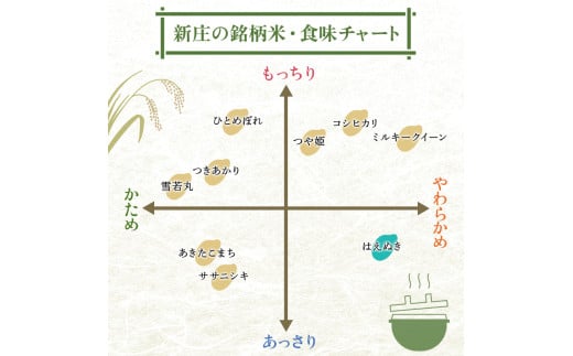 山形県新庄市のふるさと納税 <数量限定>令和6年産 はえぬき 5kg×2 計10kg 精米 【最上ノ米蔵】 山形県産 こめ お米 米 白米 F3S-2218