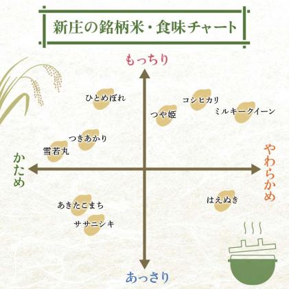 山形県新庄市のふるさと納税 【定期便 隔月配送 全3回】山形県産 はえぬき 精米 2kg×1袋×3回(計6kg) F3S-1897