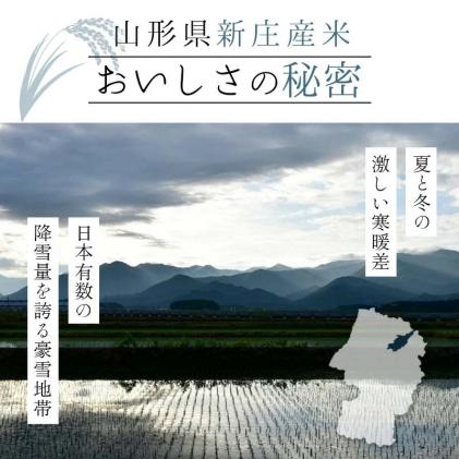 山形県新庄市のふるさと納税 【定期便 隔月配送 全3回】山形県産 はえぬき 精米 2kg×1袋×3回(計6kg) F3S-1897