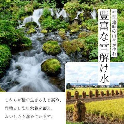 山形県新庄市のふるさと納税 【定期便 隔月配送 全3回】山形県産 はえぬき 精米 2kg×1袋×3回(計6kg) F3S-1897