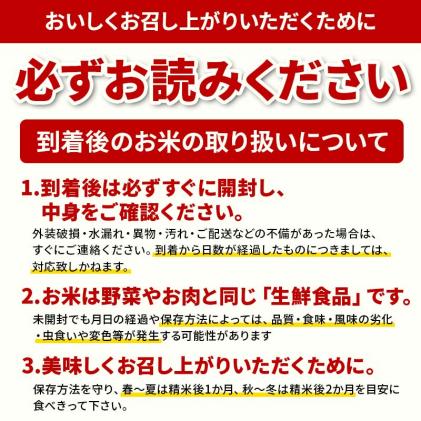 山形県新庄市のふるさと納税 【定期便 隔月配送 全3回】山形県産 はえぬき 精米 2kg×1袋×3回(計6kg) F3S-1897