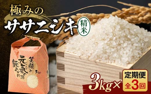 定期便 全3回 極みのササニシキ(精米)3kg 米 お米 おこめ ふるさと納税 山形県 新庄市
