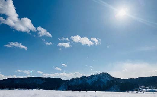 山形県新庄市のふるさと納税 定期便 全3回 極みのササニシキ(精米)3kg 米 お米 おこめ ふるさと納税 山形県 新庄市 F3S-2387
