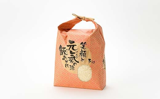 山形県新庄市のふるさと納税 定期便 全6回 極みのはえぬき(精米)3kg 米 お米 おこめ ふるさと納税 山形県 新庄市 F3S-2391