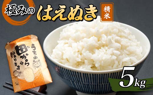 令和5年産 極みのはえぬき 5kg(精米)米 お米 おこめ 山形県 新庄市