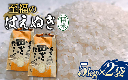 令和4年 至福のはえぬき(精米)5kg×2袋 米 お米 おこめ 山形県 新庄市