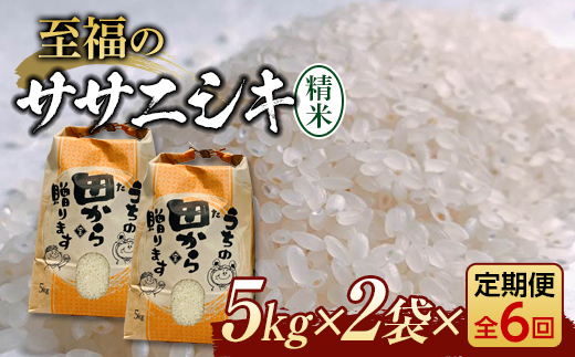 新米令和5年 『定期便』至福のササニシキ(精米)5kg×2袋 全6回 米 お米 おこめ 山形県 新庄市 F3S-1596|