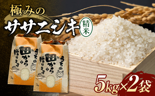 令和4年 極みのササニシキ(精米)10kg(5kg×2袋) 米 お米 おこめ 山形県 新庄市