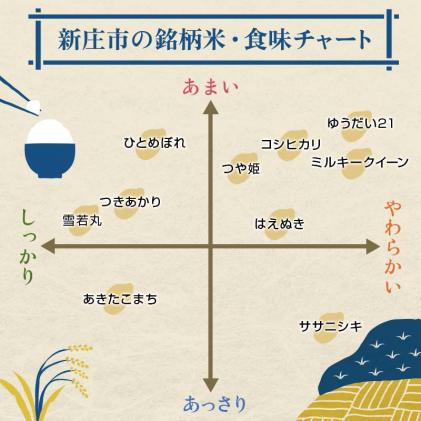 山形県新庄市のふるさと納税 定期便 全3回 極みのササニシキ(精米)3kg 米 お米 おこめ ふるさと納税 山形県 新庄市 F3S-2387