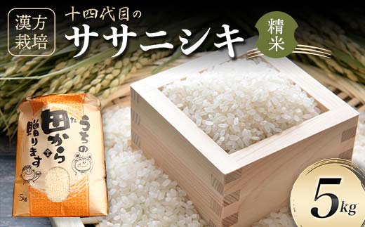 令和5年産 漢方栽培 十四代目のササニシキ 5kg(精米)米 お米 おこめ 山形県 新庄市