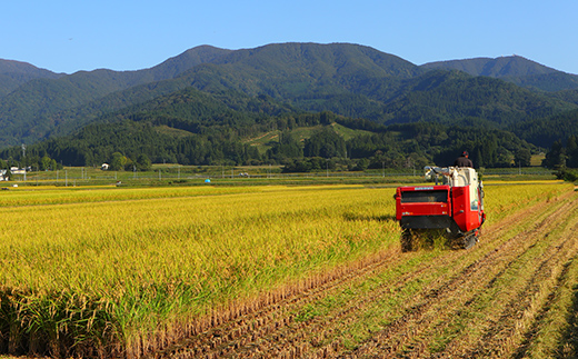 ふるさと納税 新庄市 漢方栽培　十四代目のササニシキ(精米)　5kg 全6回 令和7年産 定期便 全3回 漢方栽培 十四代目のササニシキ（精米） 5kg
