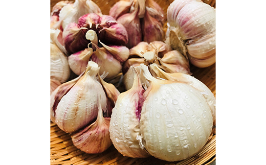 山形県新庄市のふるさと納税 最上伝承野菜【最上赤にんにく】 1.5kg(バラ) にんにく ニンニク 薬味 ガーリック 野菜 F3S-2209