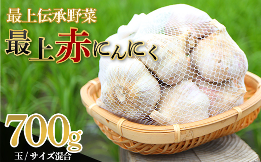 山形県新庄市のふるさと納税 最上伝承野菜【最上赤にんにく】700g(玉)(M、L、2Lサイズ混合) にんにく ニンニク 薬味 ガーリック 野菜 F3S-2210