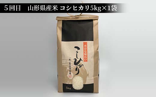 山形県新庄市のふるさと納税 《先行予約》山形県産米 5kg 食べ比べ定期便(全5回) 精米 米 お米 おこめ 山形県 新庄市 F3S-1731