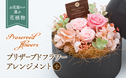 お花屋さんが選ぶ花植物 プリザーブドフラワーアレンジメント小 F3s 0291 山形県新庄市 セゾンのふるさと納税