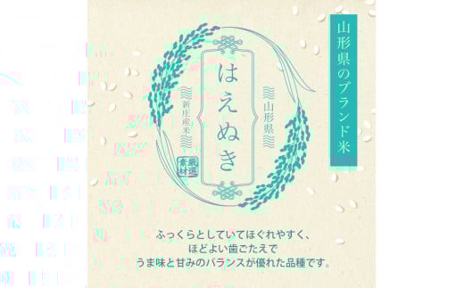 山形県新庄市のふるさと納税 令和7年産 先行予約 はえぬき 無洗米 5kg×2 計10kg 【最上ノ米蔵】 山形県産 こめ お米 米 白米 F3S-2486