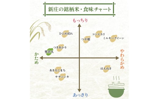 山形県新庄市のふるさと納税 令和7年産 先行予約 雪若丸 無洗米 5kg×2 計10kg【最上ノ米蔵】 山形県産 こめ お米 米 白米 F3S-2492