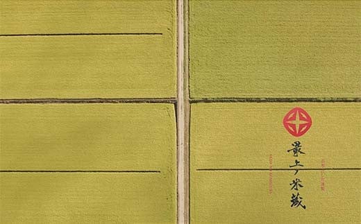 山形県新庄市のふるさと納税 令和7年産 先行予約 雪若丸 無洗米 5kg×2 計10kg【最上ノ米蔵】 山形県産 こめ お米 米 白米 F3S-2492