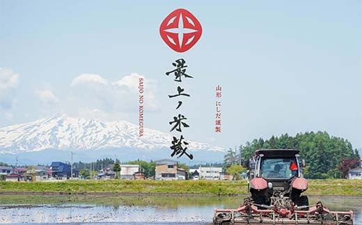山形県新庄市のふるさと納税 令和7年産 先行予約 雪若丸 無洗米 5kg×2 計10kg【最上ノ米蔵】 山形県産 こめ お米 米 白米 F3S-2492