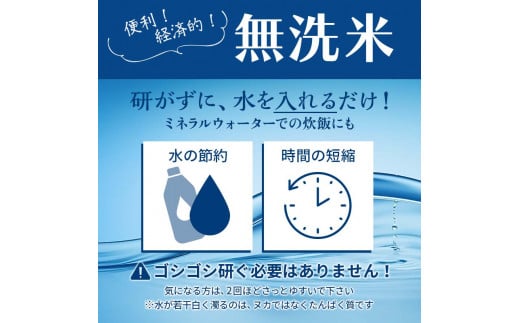 山形県新庄市のふるさと納税 令和6年産 山形県産【はえぬき】無洗米 精米 10kg(5kg×2袋) 米 お米 おこめ 山形県 新庄市 F3S-2336