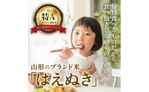 山形県新庄市のふるさと納税 令和6年産 山形県産【はえぬき】無洗米 精米 10kg(5kg×2袋) 米 お米 おこめ 山形県 新庄市 F3S-2336