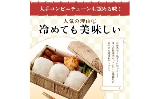 山形県新庄市のふるさと納税 令和6年産 山形県産【はえぬき】無洗米 精米 10kg(5kg×2袋) 米 お米 おこめ 山形県 新庄市 F3S-2336