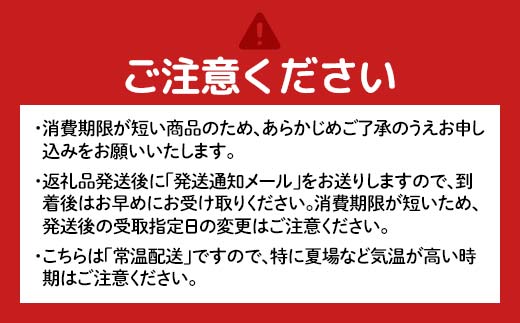 山形県新庄市のふるさと納税 ふわもちの幸せ食感 マルシャン北欧 『豊食パン』(ユタカショクパン) パン 食パン 朝食 F3S-2273