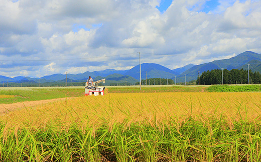 山形県新庄市のふるさと納税 米食味鑑定士 厳選 新庄産米 つや姫 (精米)2kg 特別栽培米 米 お米 おこめ 山形県 新庄市 F3S-0004