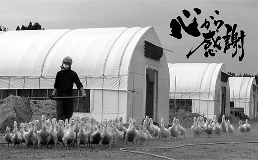 山形県新庄市のふるさと納税 『満天☆青空レストランでご紹介!』極上の鴨を手軽に楽しむ 最上鴨切り出し肉 約1kg かも 鴨 鴨肉 鴨鍋 鴨南蛮 鴨焼き 山形県 新庄市 F3S-1409