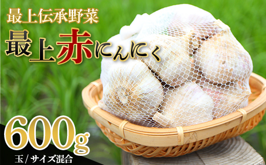 山形県新庄市のふるさと納税 《2025年発送》 最上伝承野菜【最上赤にんにく】600g(玉)(M、L、2Lサイズ混合) にんにく ニンニク 薬味 ガーリック 野菜 F3S-2210