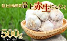 《2025年発送》 最上伝承野菜【最上赤生