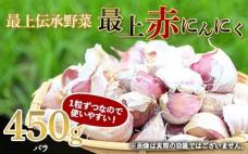 《2026年発送》 最上伝承野菜 【最上赤