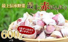 《2025年7月中旬から順次発送》 最上伝