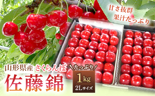 南陽市産 さくらんぼ佐藤錦1kg パック詰め 2l以上 1396 山形県南陽市 セゾンのふるさと納税