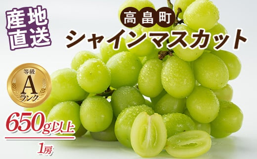 ≪先行予約≫2024年 山形県 高畠町産 シャインマスカット 箱詰 650g 以上(1房) 2024年9月下旬頃から順次発送 ぶどう ブドウ 葡萄 マスカット 大粒 種なし 高級 くだもの 果物 フルーツ 秋果実 産地直送 農家直送 数量限定 贈答 ギフト F21B-124