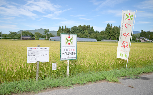 遠藤農園】令和6年度 山形県高畠町産 つや姫マイスターが作る 特別栽培米 つや姫 玄米 5kg(1袋) 米 お米 おこめ ごはん ブランド米  F20B-931 / 山形県高畠町 | セゾンのふるさと納税