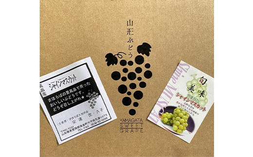 山形県高畠町のふるさと納税 ≪2025年先行予約≫【農業者支援】山形県 高畠町産 ご家庭用 シャインマスカット 約1.8g(3房) 箱詰め 2025年9月中旬から順次発送 ぶどう ブドウ 葡萄 マスカット 大粒 種なし 高級 くだもの 果物 フルーツ 秋果実 家庭用 自宅用 訳あり 産地直送 農家直送 数量限定 F21B-265