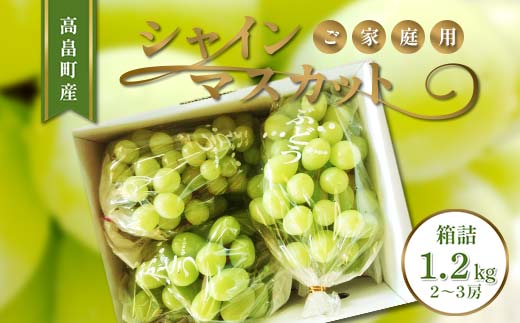 山形県高畠町のふるさと納税 ≪2025年先行予約≫ ご家庭用 山形県 高畠町産 シャインマスカット 箱詰 1.2kg(2～3房) 2025年9月下旬から順次発送 ぶどう ブドウ 葡萄 マスカット 大粒 種なし 高級 くだもの 果物 フルーツ 秋果実 産地直送 農家直送 数量限定 農業者 農家 支援品 訳あり ご自宅用 F20B-935