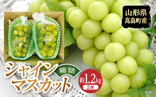 《先行予約》令和6年産 山形県 高畠町 シャインマスカット 箱詰 約1.2kg(2房) 2024年9月下旬から順次発送 ぶどう ブドウ 葡萄  マスカット 大粒 種なし 高級 くだもの 果物 フルーツ 秋果実 産地直送 農家直送 数量限定 贈答 ギフト F20B-723|